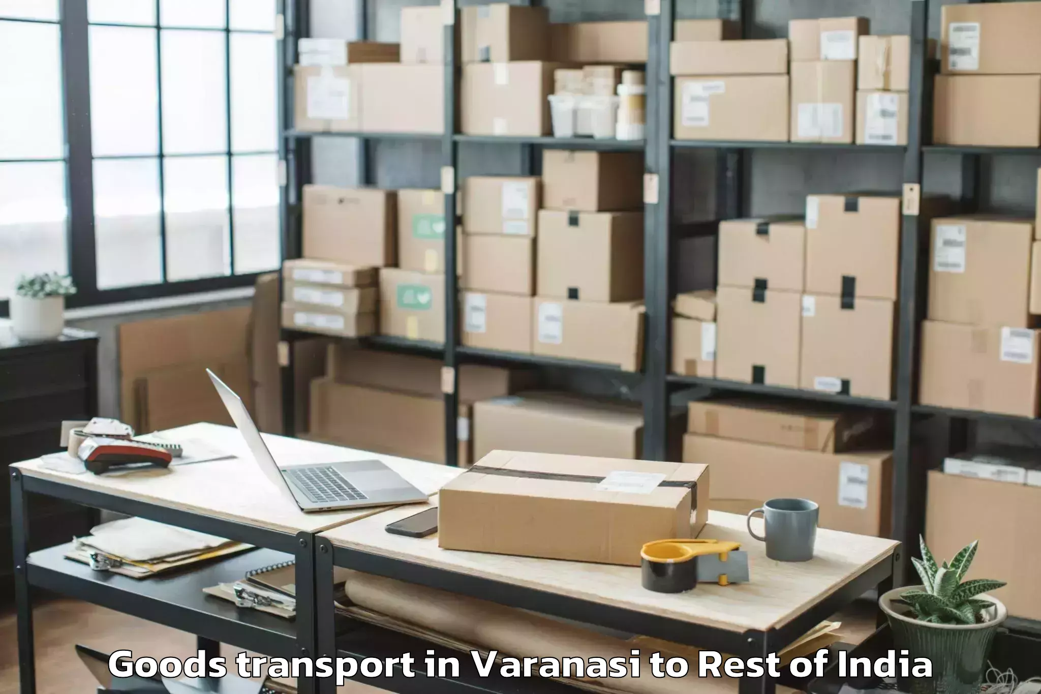 Comprehensive Varanasi to Pampore Goods Transport